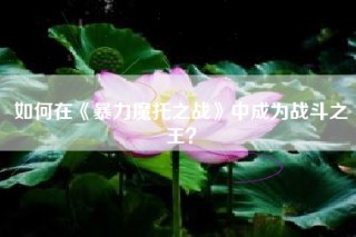 如何在《暴力魔托之战》中成为战斗之王？