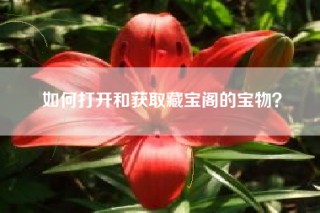 如何打开和获取藏宝阁的宝物？