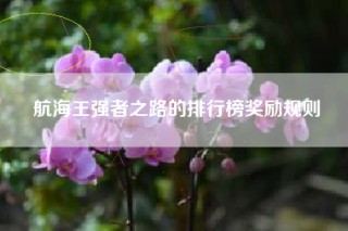 航海王强者之路的排行榜奖励规则