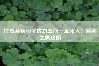 提高装备强化成功率的一拳超人：最强之男攻略