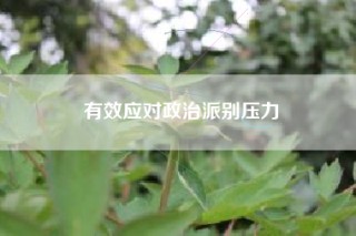 有效应对政治派别压力