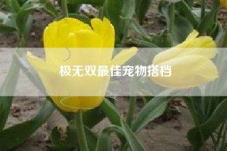 极无双最佳宠物搭档