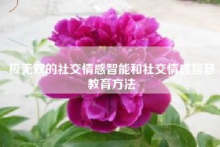 极无双的社交情感智能和社交情感智慧教育方法