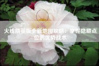 火线精英版全新地图攻略：掌握隐藏点位的优势战术