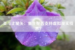 圣斗士星矢：重生是否支持虚拟现实技术？