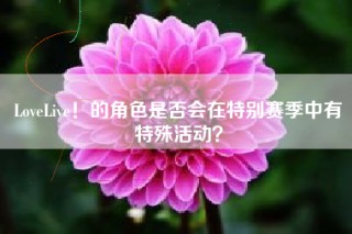 LoveLive！的角色是否会在特别赛季中有特殊活动？