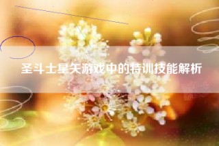 圣斗士星矢游戏中的特训技能解析