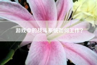 游戏中的战斗系统如何工作？