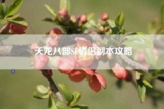 天龙八部SF情侣副本攻略