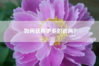 如何获得更多的银两？
