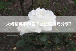 火线精英手游各职业隐藏技巧分享？