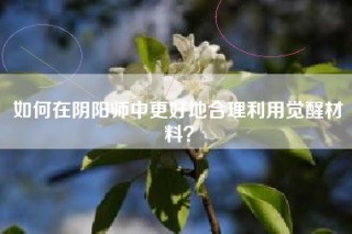 如何在阴阳师中更好地合理利用觉醒材料？