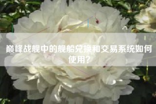 巅峰战舰中的舰船兑换和交易系统如何使用？