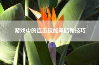游戏中的连击技能策略和技巧