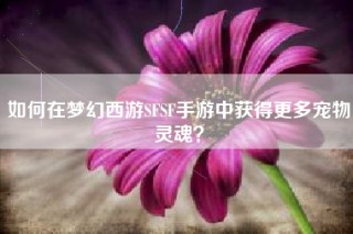 如何在梦幻西游SFSF手游中获得更多宠物灵魂？