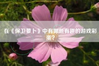 在《保卫萝卜》中有哪些有趣的游戏彩蛋？