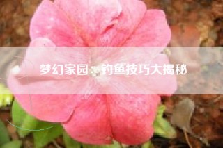 梦幻家园：钓鱼技巧大揭秘