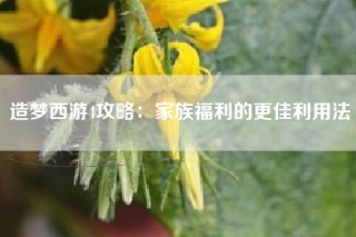 造梦西游4攻略：家族福利的更佳利用法
