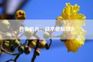 合金机兵：战术破解敌人