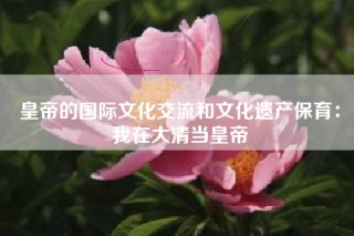 皇帝的国际文化交流和文化遗产保育：我在大清当皇帝