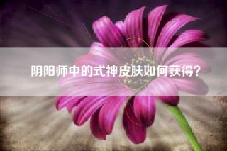 阴阳师中的式神皮肤如何获得？