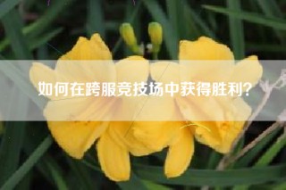 如何在跨服竞技场中获得胜利？
