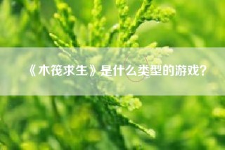 《木筏求生》是什么类型的游戏？