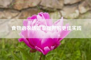 食物语农场效率提升的更佳实践