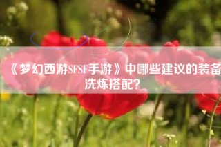 《梦幻西游SFSF手游》中哪些建议的装备洗炼搭配？