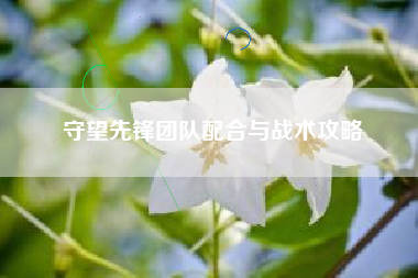 守望先锋团队配合与战术攻略  第1张