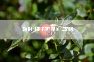 辐射4核子世界DLC攻略  第1张