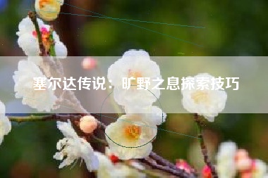 塞尔达传说：旷野之息探索技巧  第1张