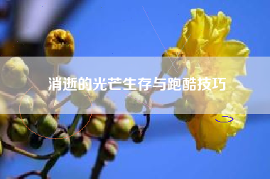 消逝的光芒生存与跑酷技巧  第1张