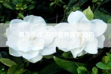 孤岛惊魂5开放世界探索技巧  第1张