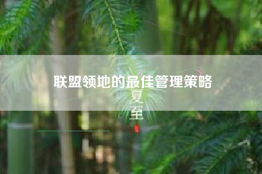 联盟领地的最佳管理策略  第1张