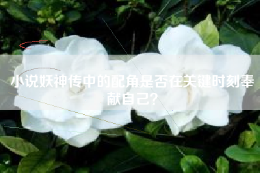 小说妖神传中的配角是否在关键时刻奉献自己？  第1张