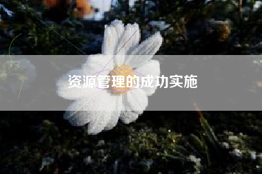 资源管理的成功实施  第1张