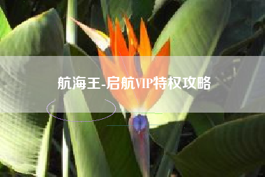 航海王-启航VIP特权攻略  第1张