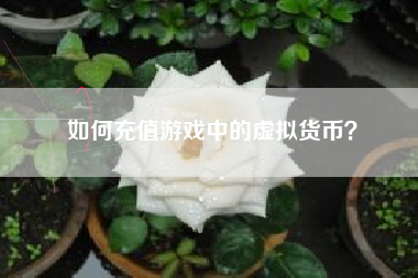 如何充值游戏中的虚拟货币？  第1张