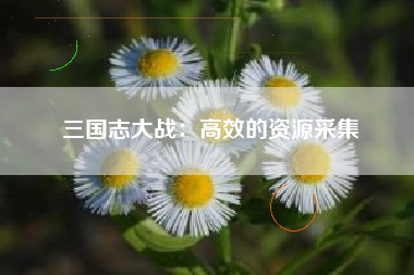 三国志大战：高效的资源采集  第1张