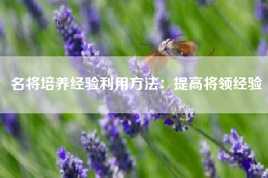 名将培养经验利用方法：提高将领经验  第1张