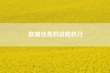 联盟任务的战略执行  第1张