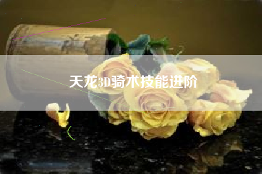 天龙3D骑术技能进阶  第1张