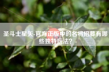 圣斗士星矢-官方正版中的名将招募有哪些独特玩法？  第1张