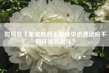 如何在《重装机兵》游戏中迅速适应不同环境的战斗？  第1张