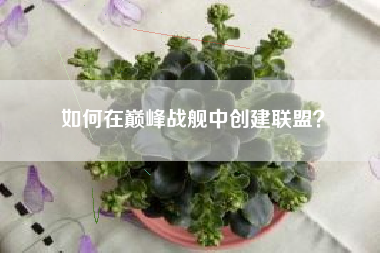 如何在巅峰战舰中创建联盟？  第1张
