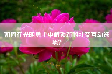 如何在光明勇士中解锁新的社交互动选项？  第1张