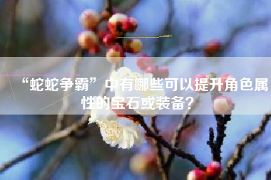 “蛇蛇争霸”中有哪些可以提升角色属性的宝石或装备？  第1张