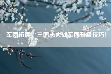 军团拓展，三国志大战军团升级技巧！  第1张