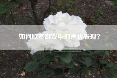 如何欣赏游戏中的声优表现？  第1张